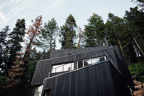 Tree Haus by Klima Architecure - 5