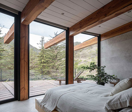 ACFA House is a Circular Home that ‘Basks in Sunlight’ - 5