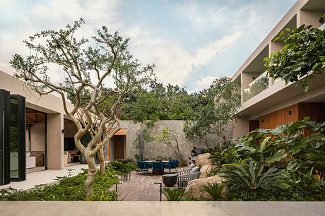 Quinto Sol House by Estudio Cristina Grappin - 8