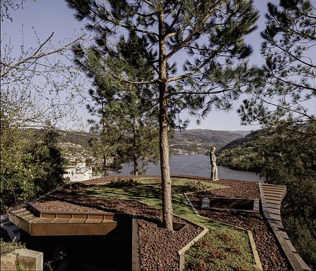 Wood House by MJARC Architects - 7