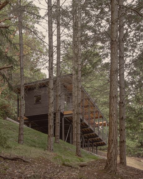 Trestle Cabin by The Miller Hull Partnership - 7