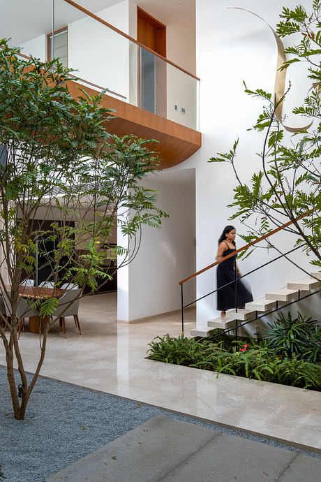 The Split House by Collage Architecture Studio - 3