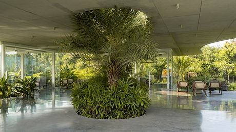 Amoeba by Hiren Patel Architect Design - 4