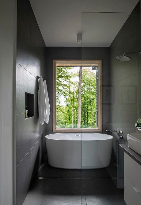 Mountain Mint House by Rusafova Markulis Architects - 9