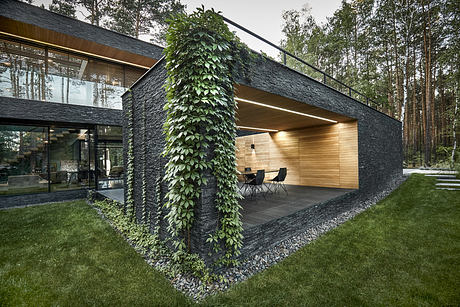 Forest House: A Calm Retreat in Warsaw - 4