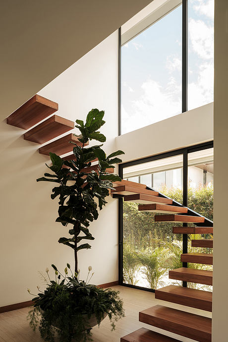 Riba House by TEC Taller EC - 4