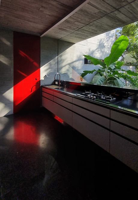 Trees Sliced Through Recasts Family Living Around Open Courtyards - 6