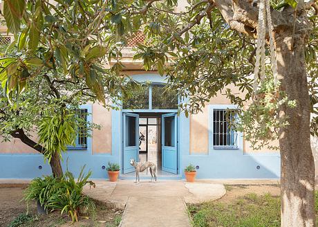 Casa patio casa patio – a Courtyard Home Reborn with Color - 7