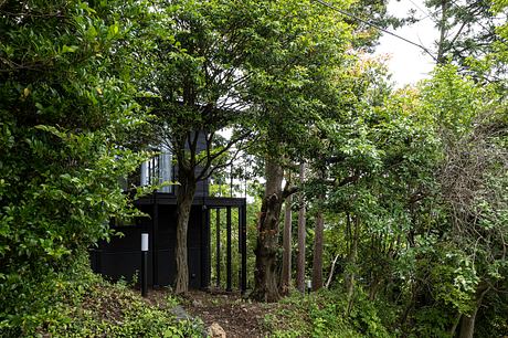 House O by Amaine Architects - 8