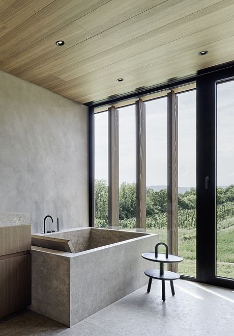 Villa Kronbuhl by Oppenheim Architecture - 3