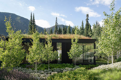 Hayden House: Regenerative Mountain Living in Aspen’s High Valley - 1
