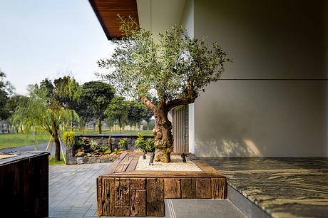 TD House by Cowema Studio Architect - 3