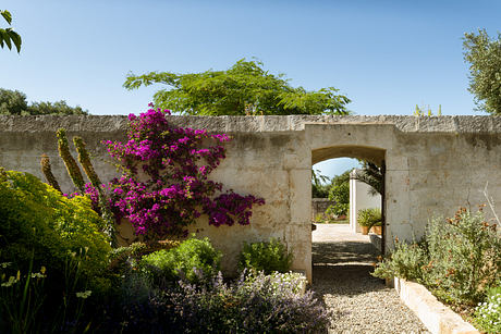 Masseria San Lorenzo Brings Light to a 19th-century Stone Masseria - 10