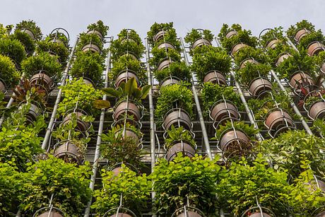 Flying Vegetation: Organizes Family Life Across Five Elevated Floors - 10