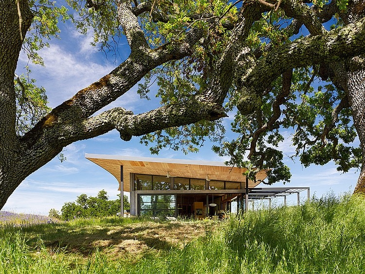 Caterpillar House by Feldman Architecture