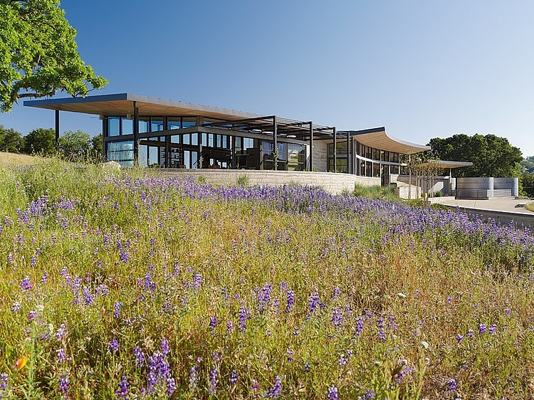 Caterpillar House by Feldman Architecture
