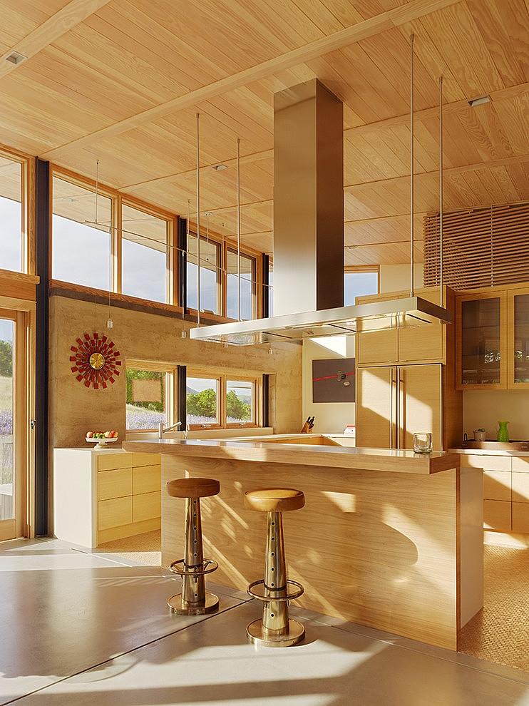 Caterpillar House by Feldman Architecture