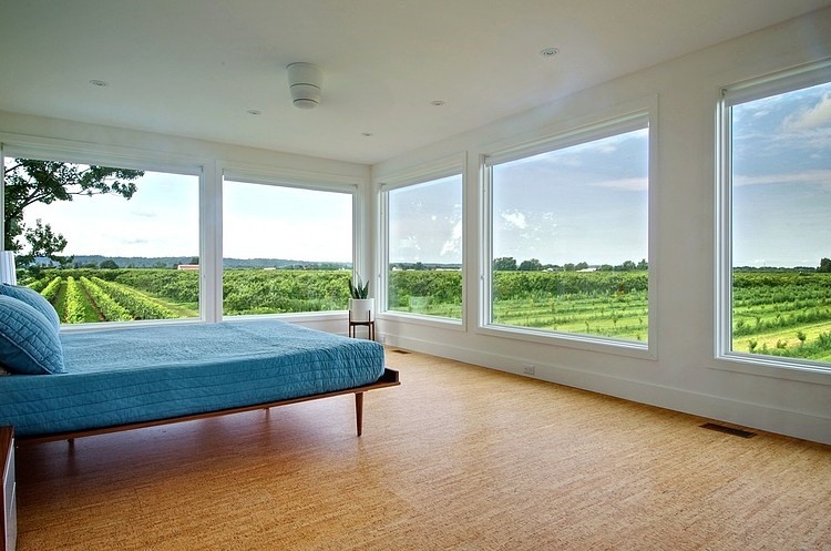 Niagara Vineyard Renovation