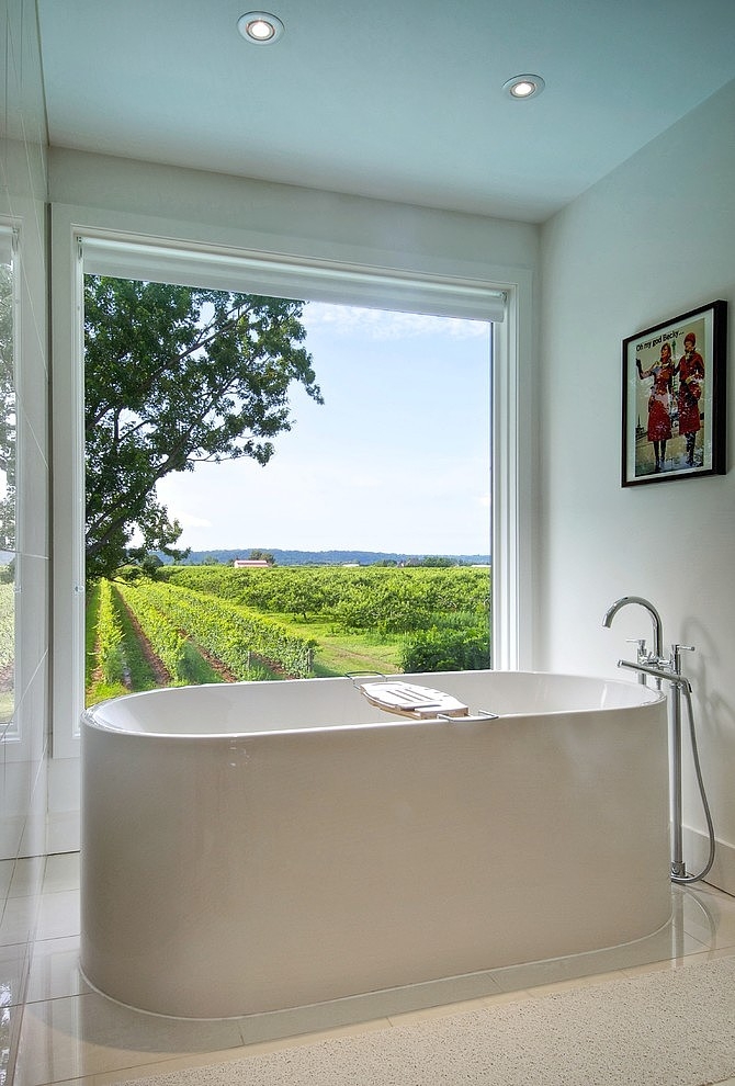 Niagara Vineyard Renovation