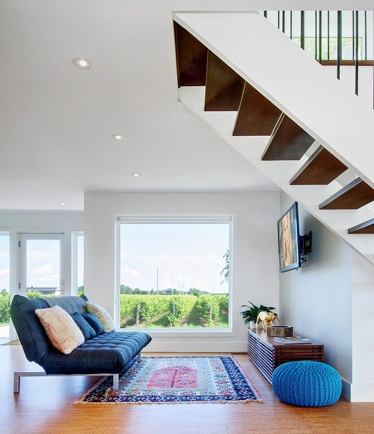 Niagara Vineyard Renovation