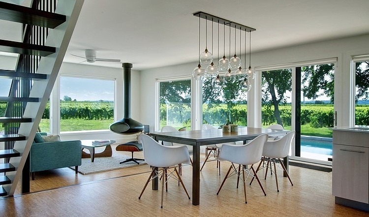 Niagara Vineyard Renovation