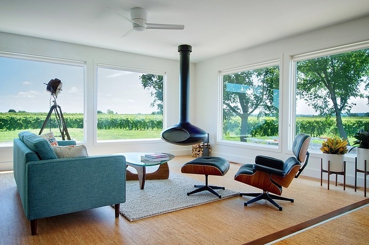 Niagara Vineyard Renovation