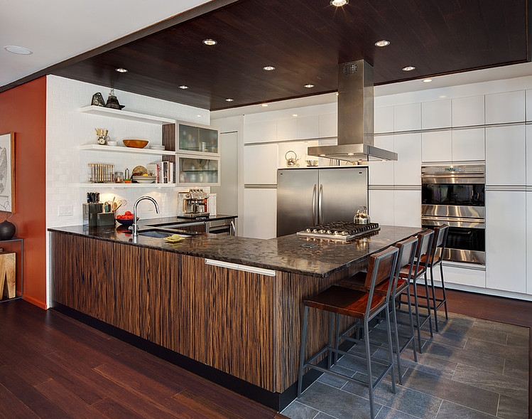 Maniaci/Hoke residence by MANI & Co