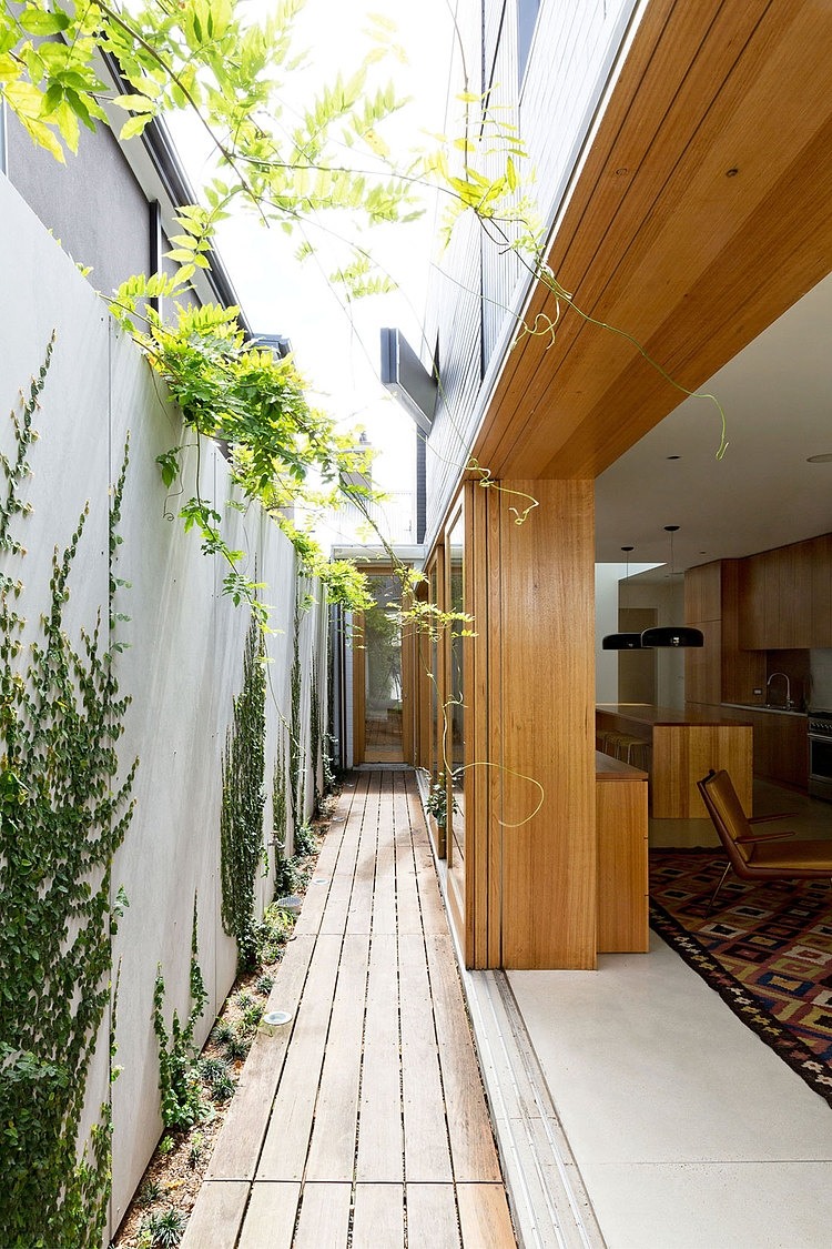 Bondi House by Fearns Studio