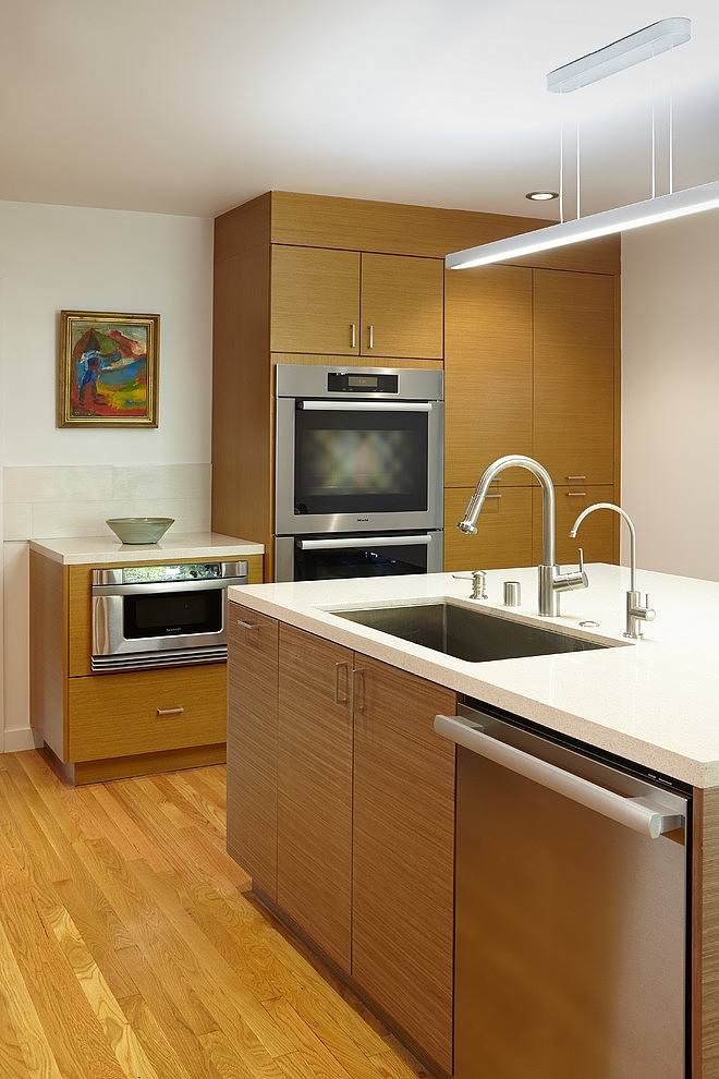 Harvard Residence by Ohashi Design Studio