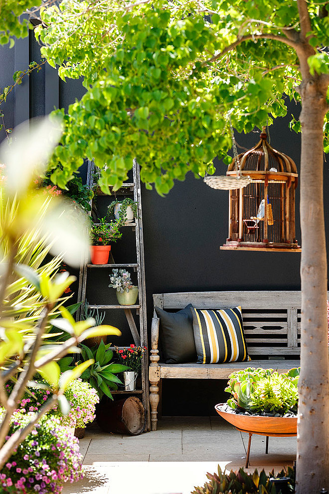 North Coogee by Collected Interiors