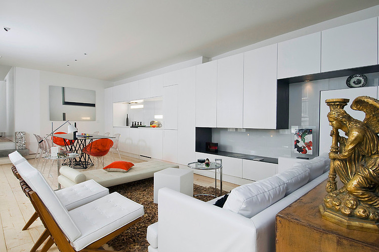Apartement in Paris by Manuel Sequeira