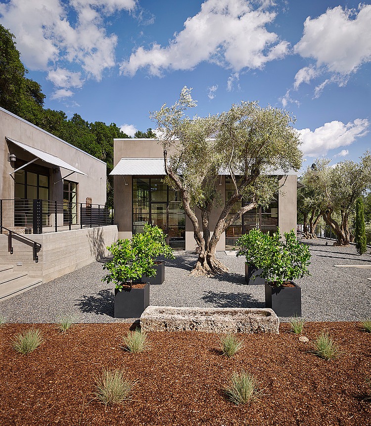 Olive Grove Residence by Total Concepts