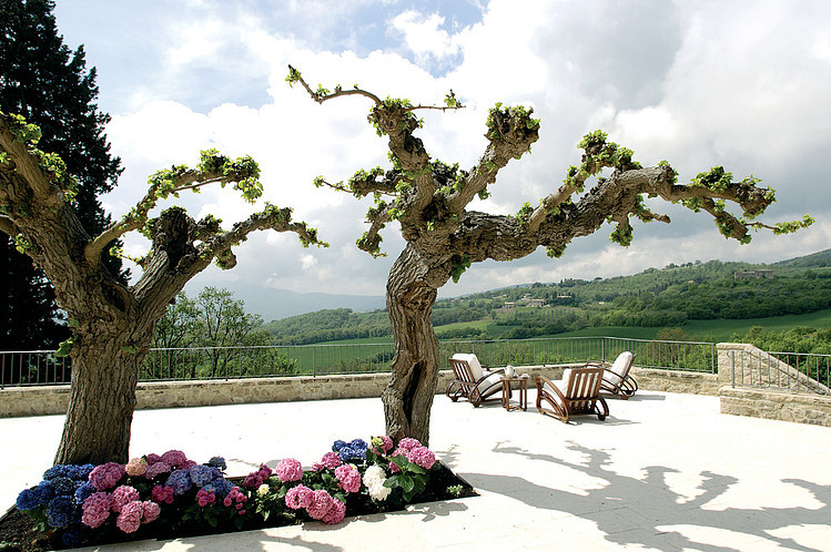 Todi Villa by Alhadeff Architects
