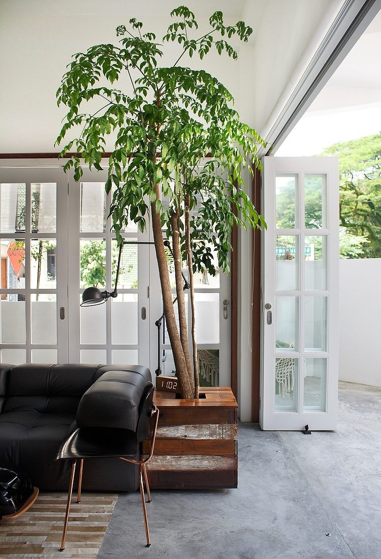 Terrace House by Atelier M + A