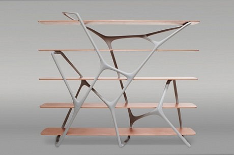 Modern Naturoscopie Shelf by Noé Duchaufour-Lawrance - 1