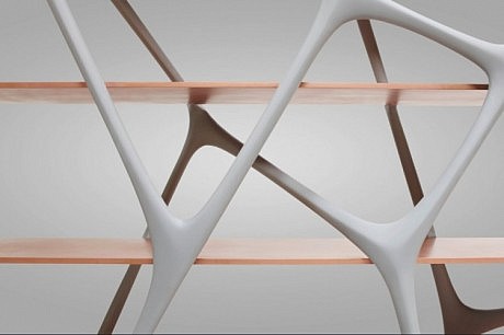 Modern Naturoscopie Shelf by Noé Duchaufour-Lawrance - 3