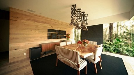 Guanabanos House by Taller Héctor Barroso - 2