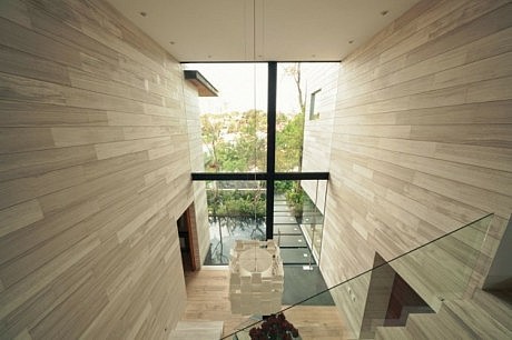 Guanabanos House by Taller Héctor Barroso - 4