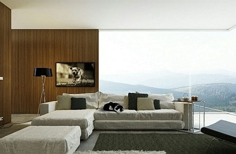 Stunning Apartment Views