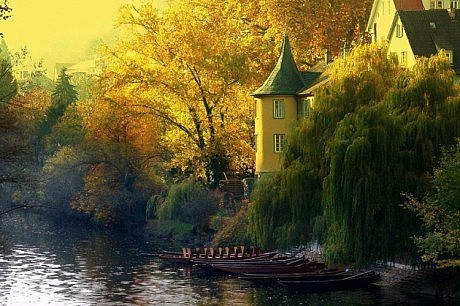 Fairy Tale Cottages - 7