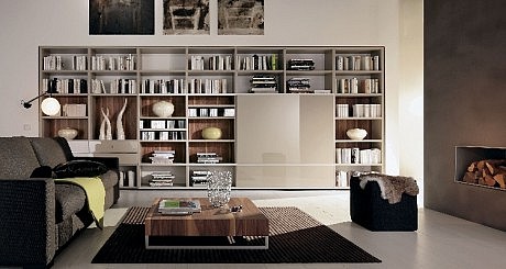 Contemporary Home Libraries - 1