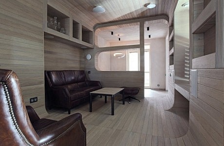 Oak Tube Apartment by Peter Kostelov