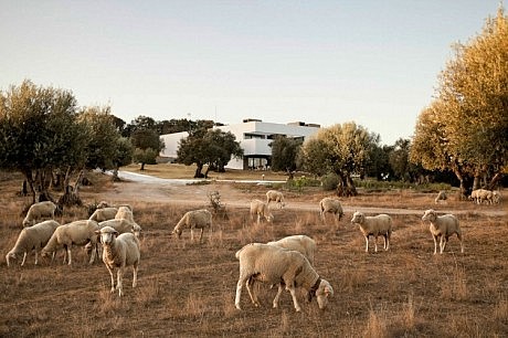 Villa Extramuros by Vora Arquitectura - 1