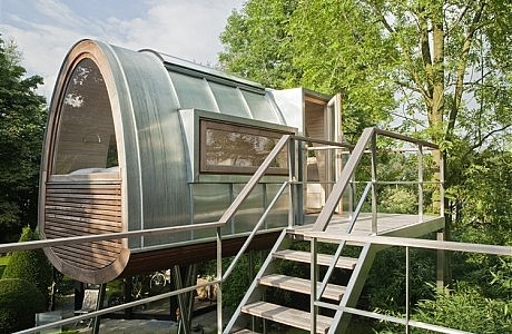 King of the Frogs by Baumraum