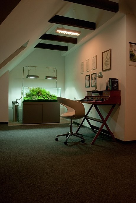 Modern Studio by Tomasz Jasinski - 8