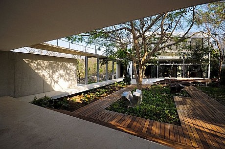 House Among Trees by Muñoz Arquitectos Asociados