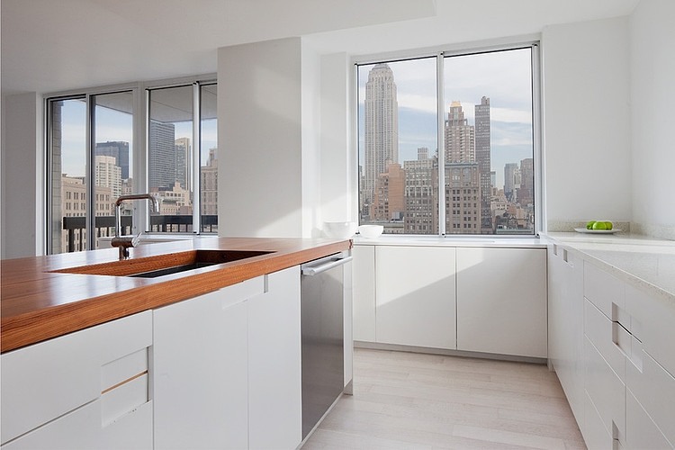 Madison Square Apartment by David Bucovy Architect