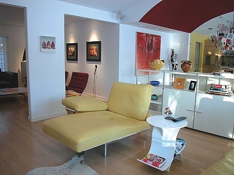 San Diego Loft by Mia Rao Design