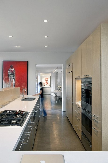 Levin Residence by Ibarra Rosano Design Architects