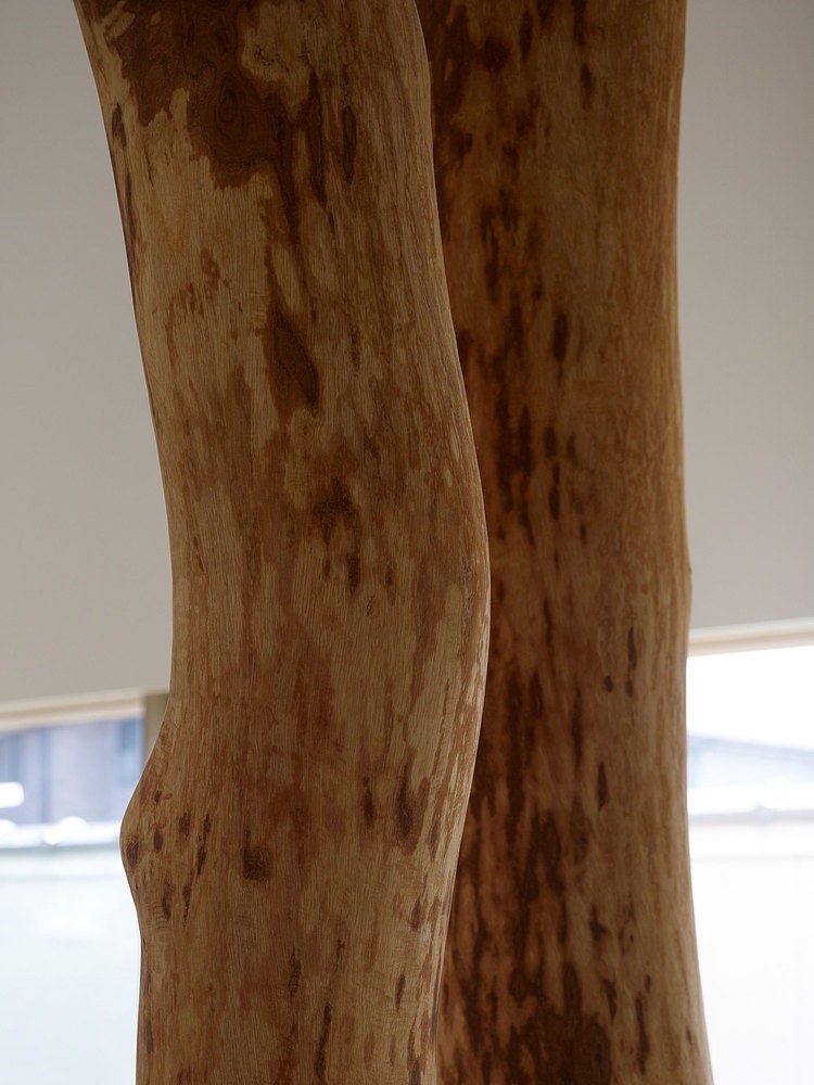 Garden Tree House by Hironaka Ogawa & Associates